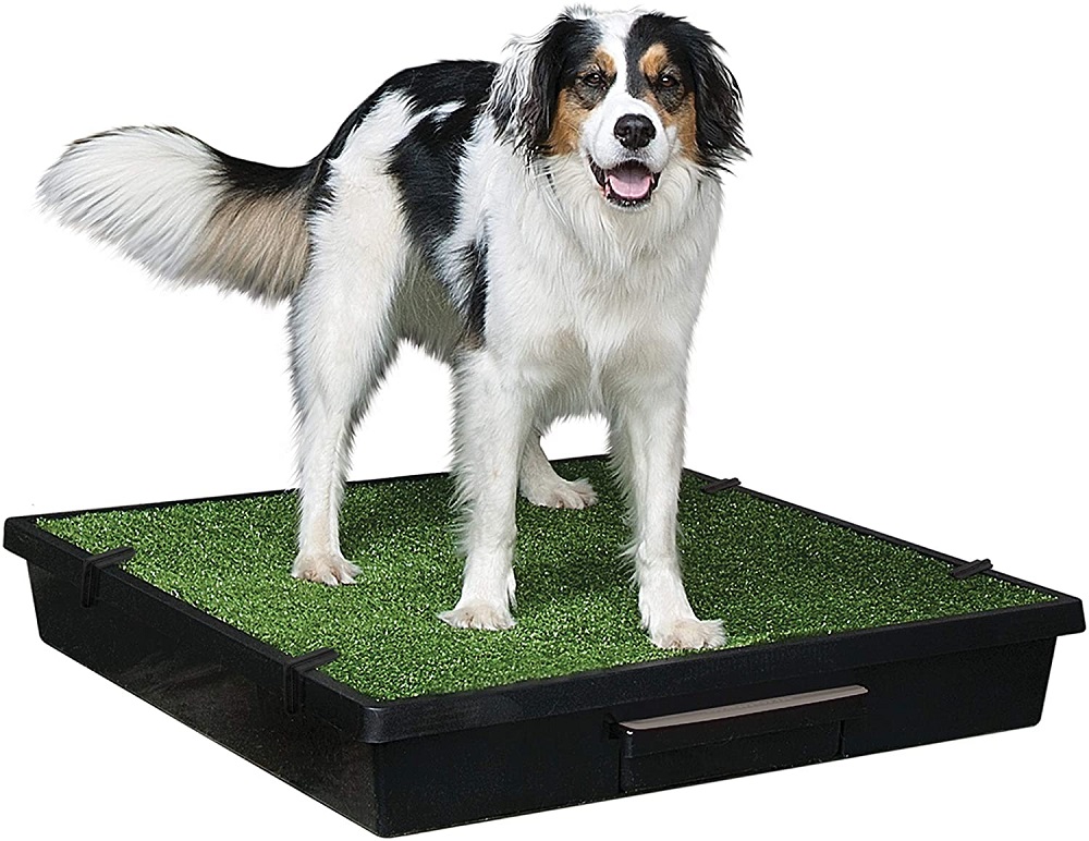 PetSafe Pet Loo dog grass potty