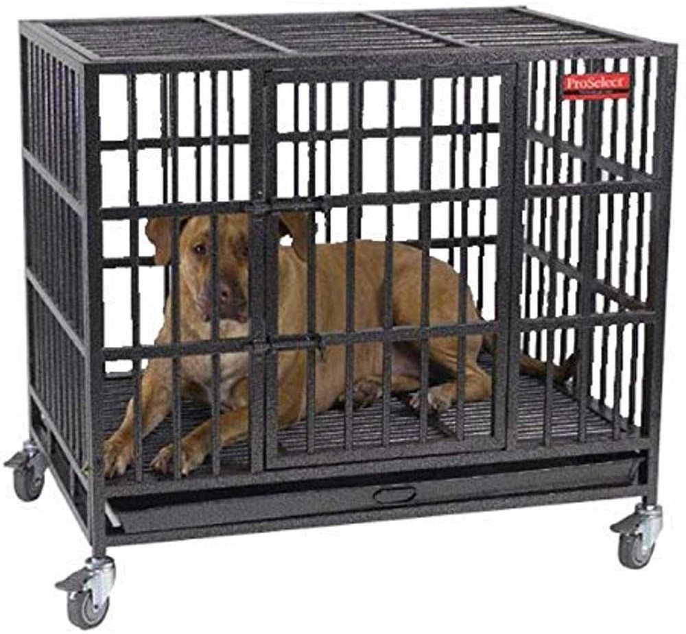ProSelect dog metal crate