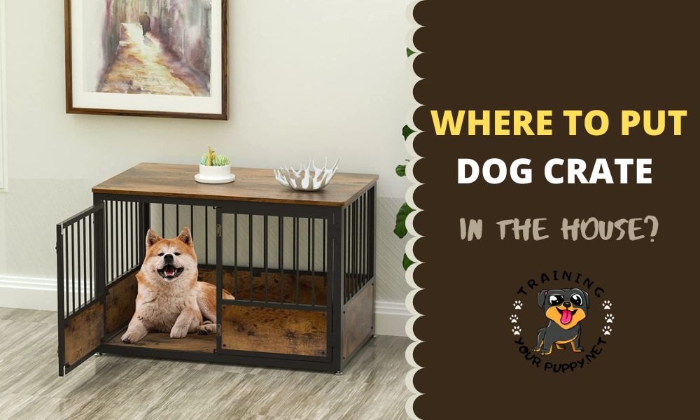 where to put dog crate in the house