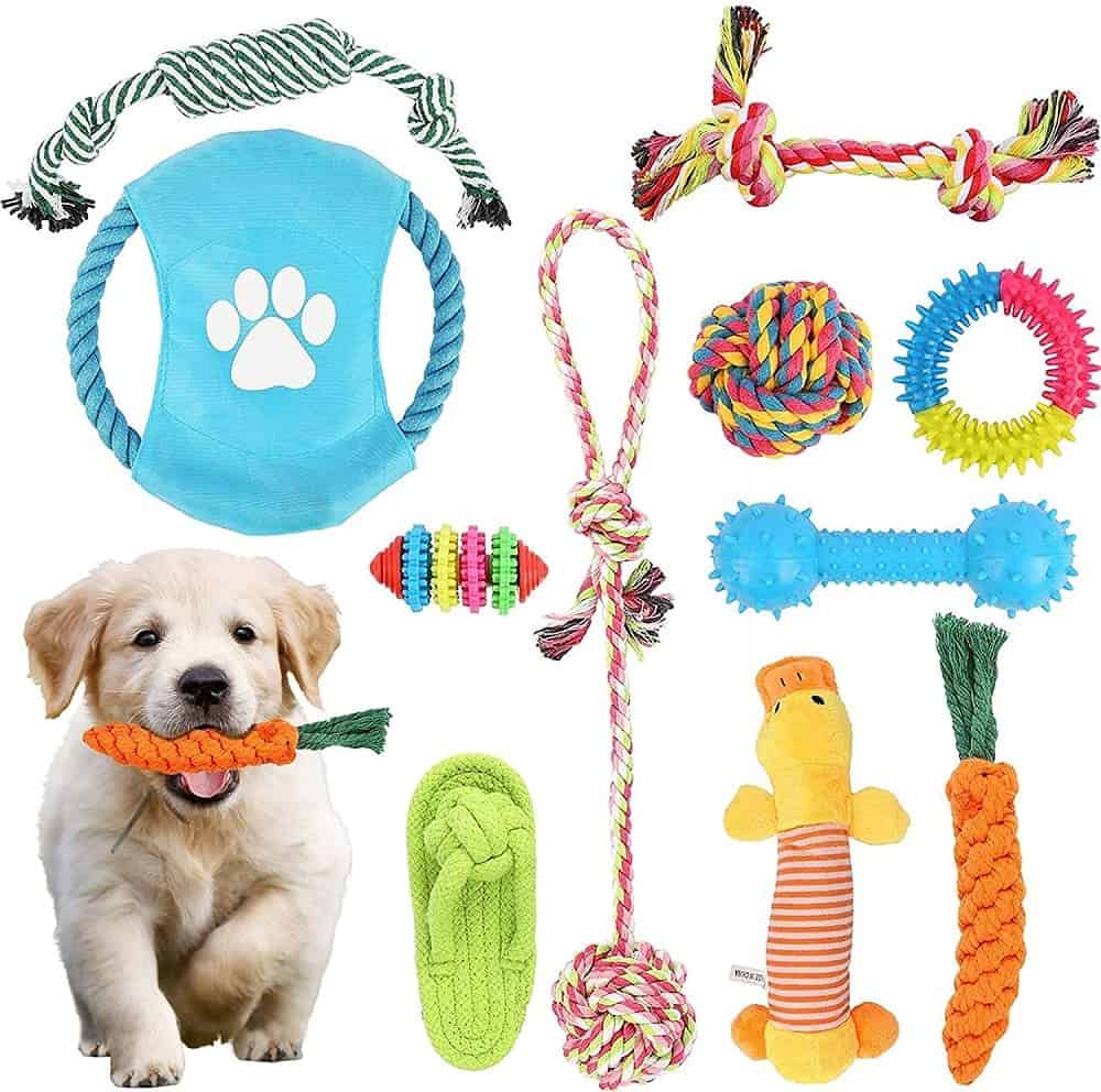 types of dog chewing toys