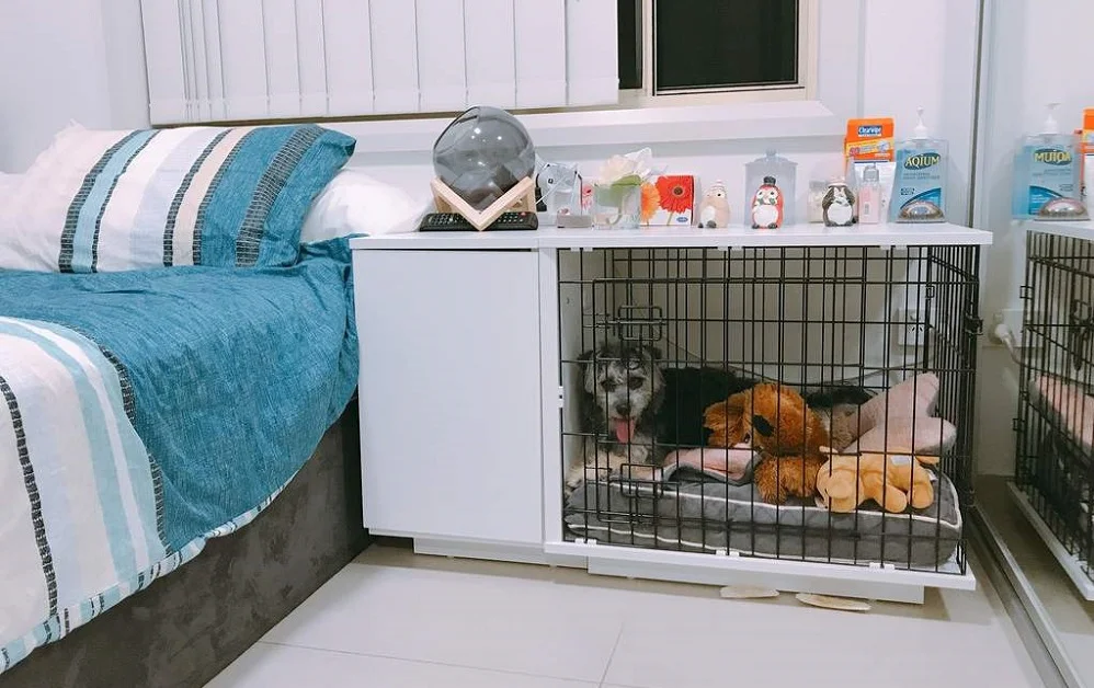 dog in the crate in the bedroom