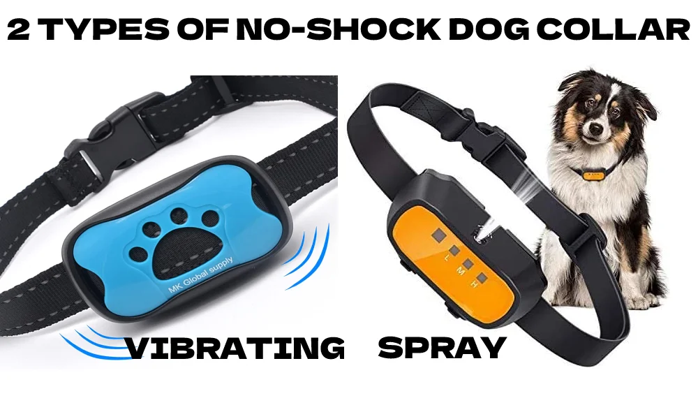 2 types of non shock dog training collars