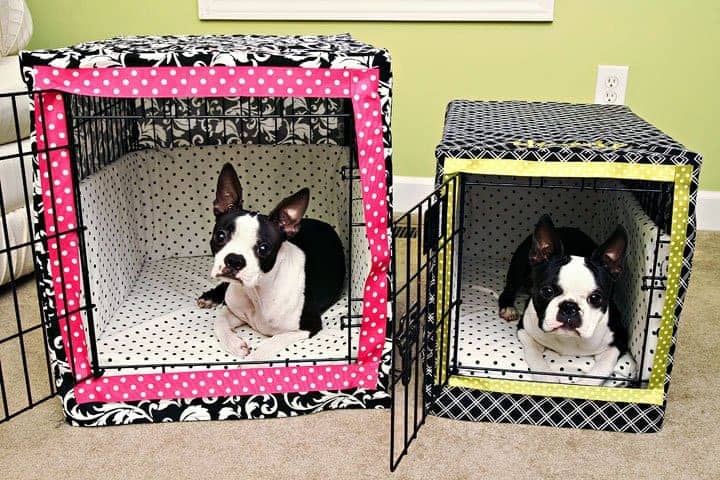 Dogs in covered crates