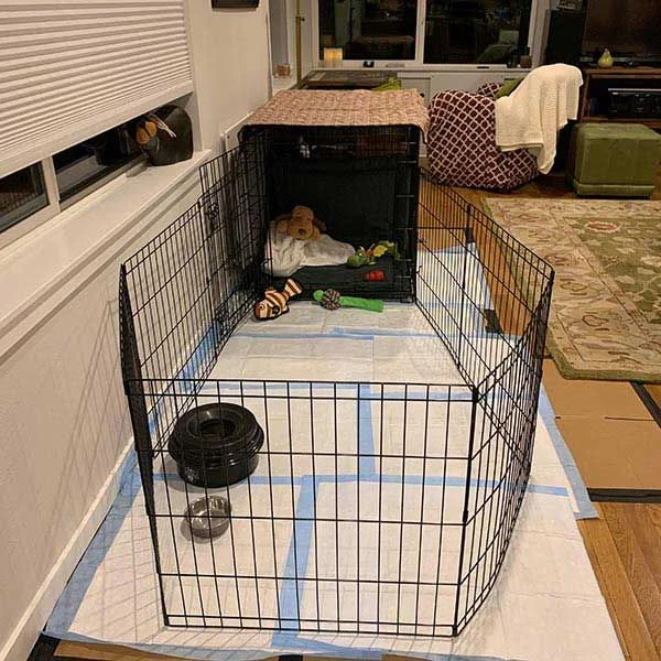 puppy place with playpen