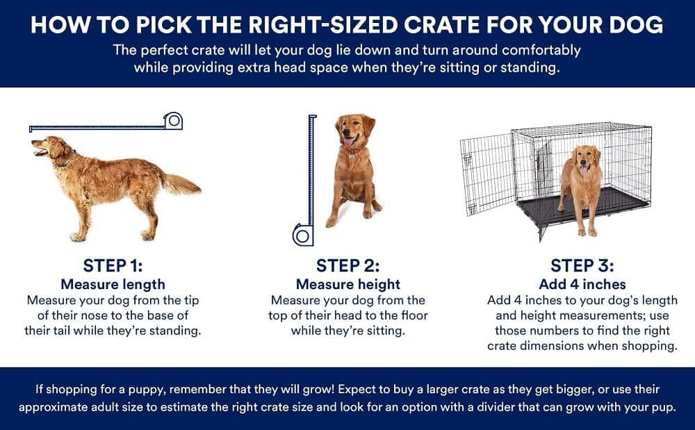 how to choose rirht crate size for dog