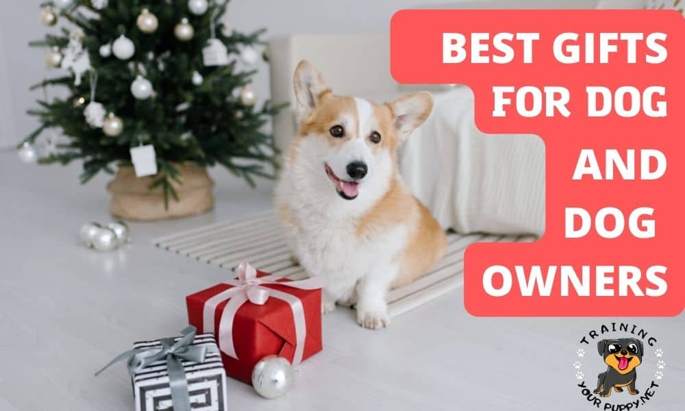BEST GIFTS FOR DOG AND DOG OWNERS