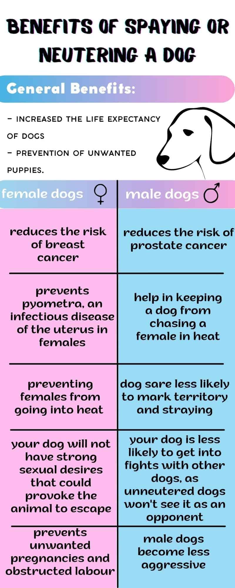 Benefits of spaying neutering a dog, infographick