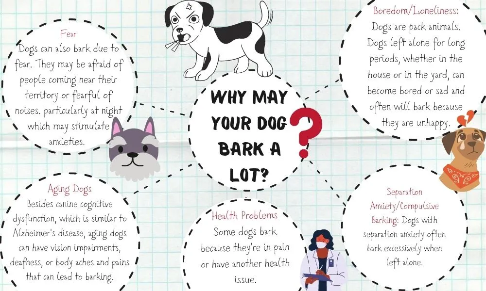 causes of excessive barking in dogs