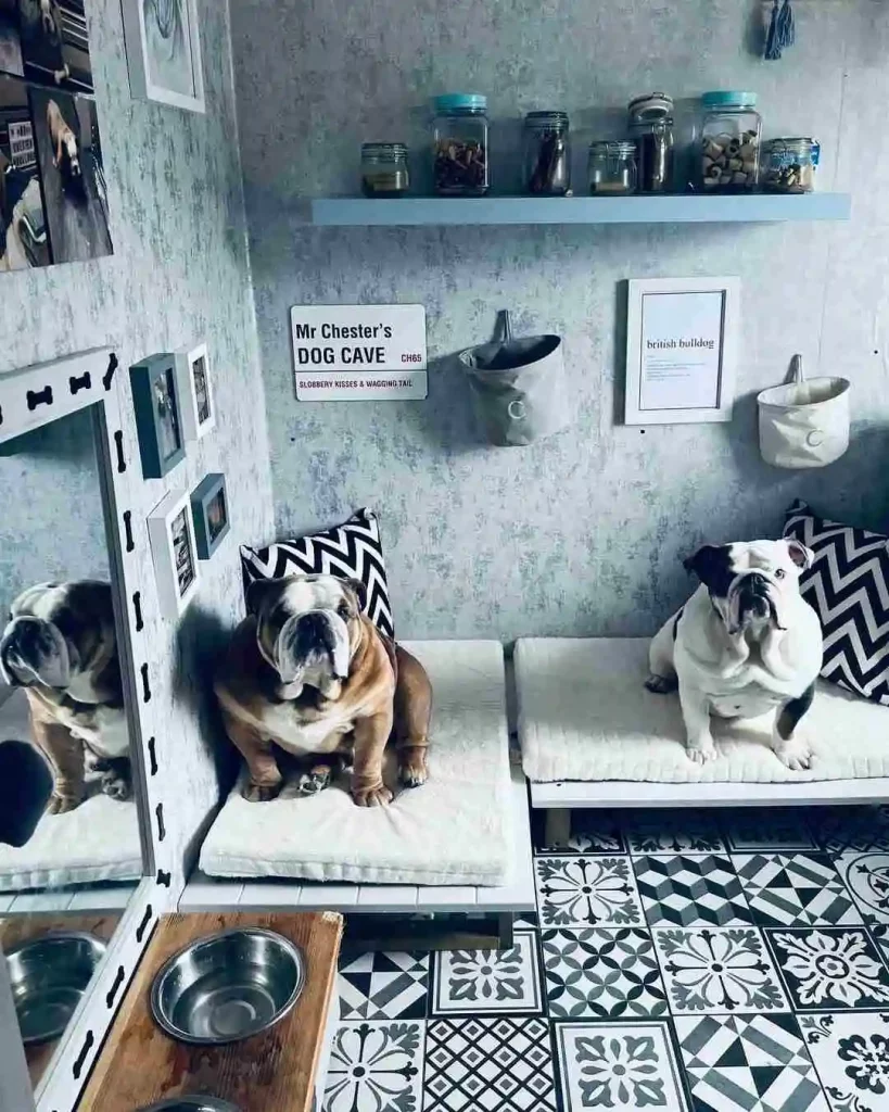 dog room