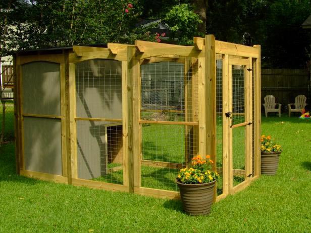 outdoor kennel  for dog