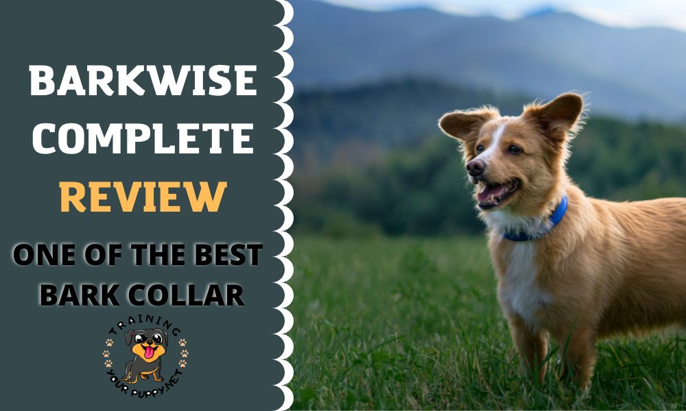 Barkwise review