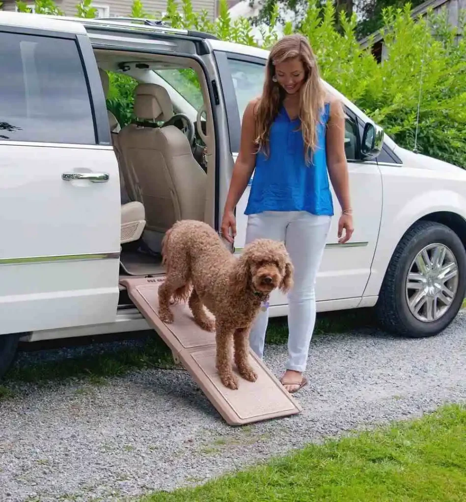 the dog walks on a ramp installed in the car