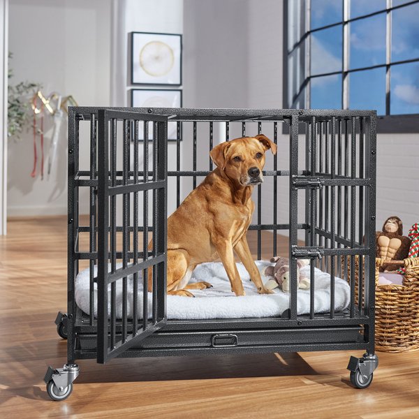 dog in the ProSelect Empire Dog Cage