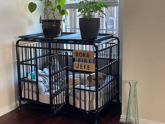 dog in the agesisi dog crate, Image from the customer