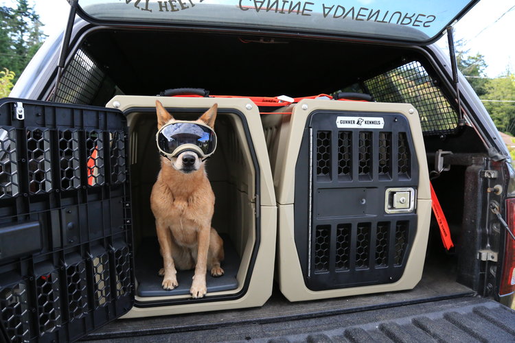 Gunner Kennels for the car, a dog sitting in the crate