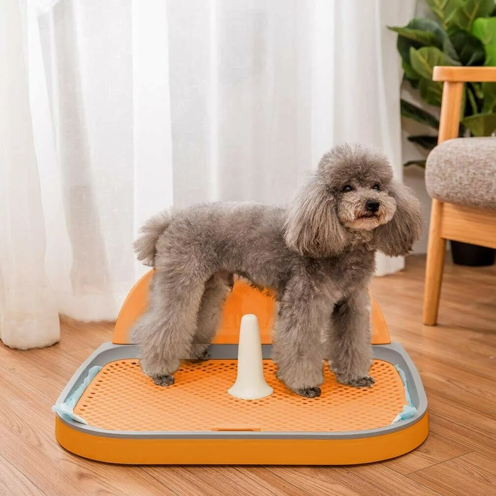a dog standing on a HIPIPET Puppy Dog Potty Tray