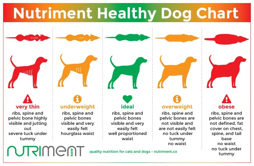 Nutritment healthy dog chart