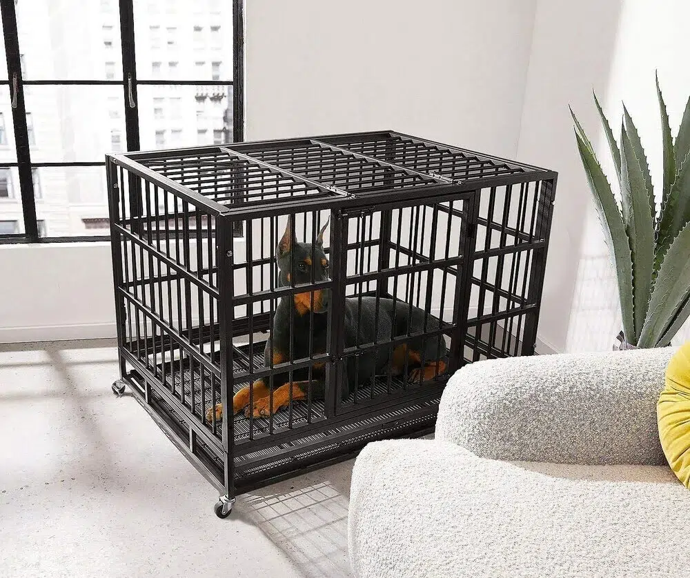 a dog in the otaid dog crate
