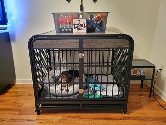a dog in the snimoy dog crate