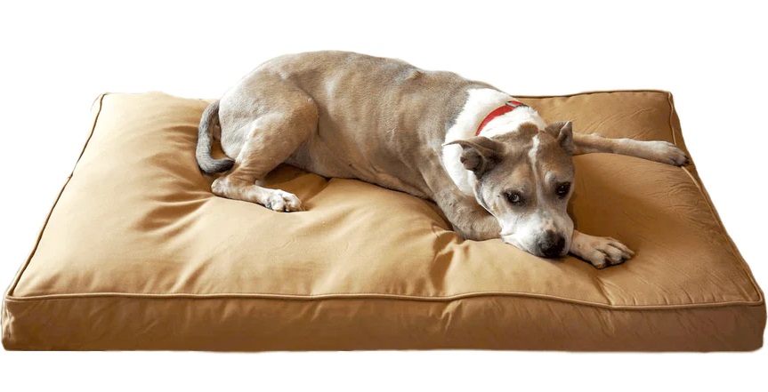 bully bed chew resistant dog bed
