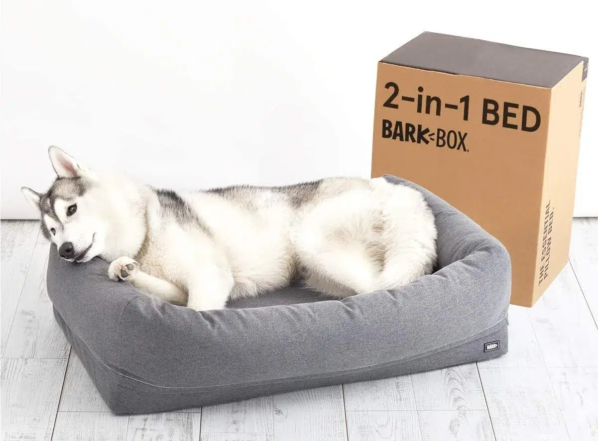 husky lying in bed barkbox