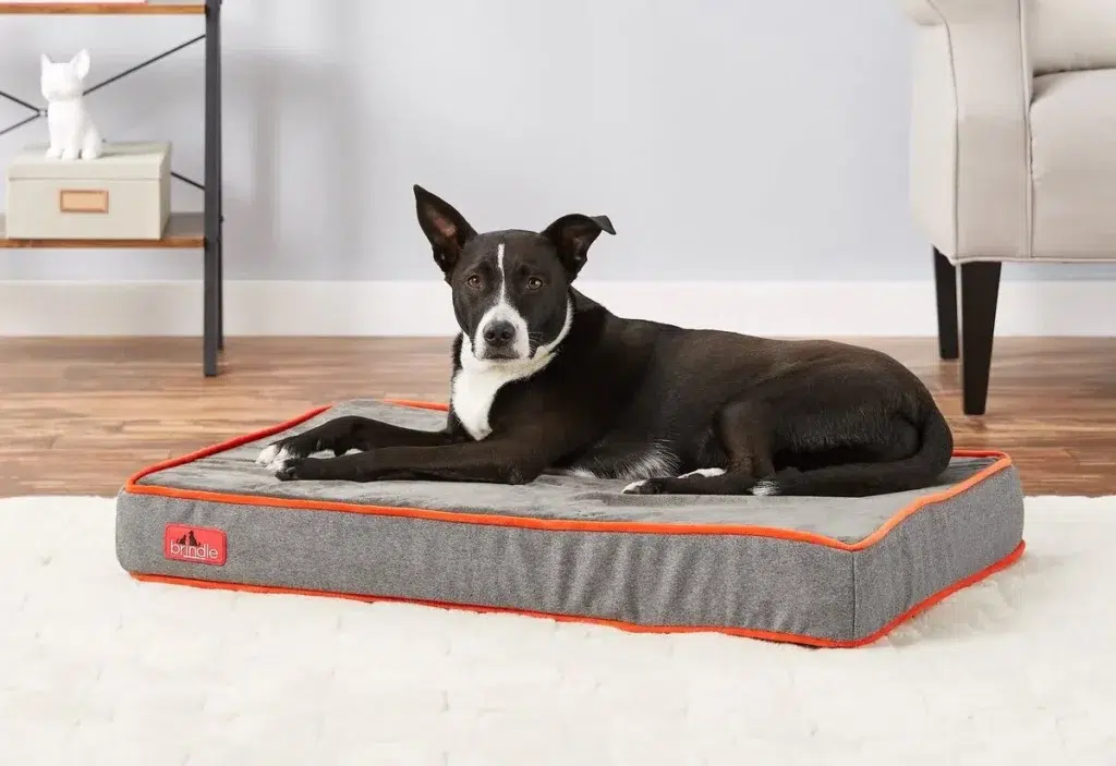 a dog on the Brindle Waterproof Designer Memory Foam Bed