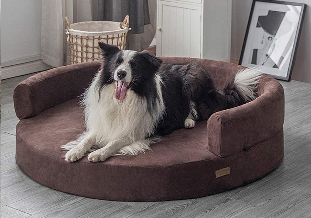 a dog on the kopex dog bed