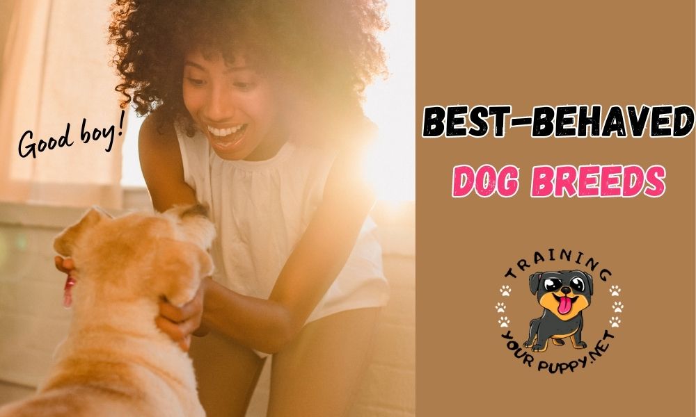BEST-BEHAVED DOG BREEDS