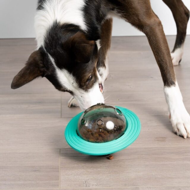 a dog playing with food-dispenser toy