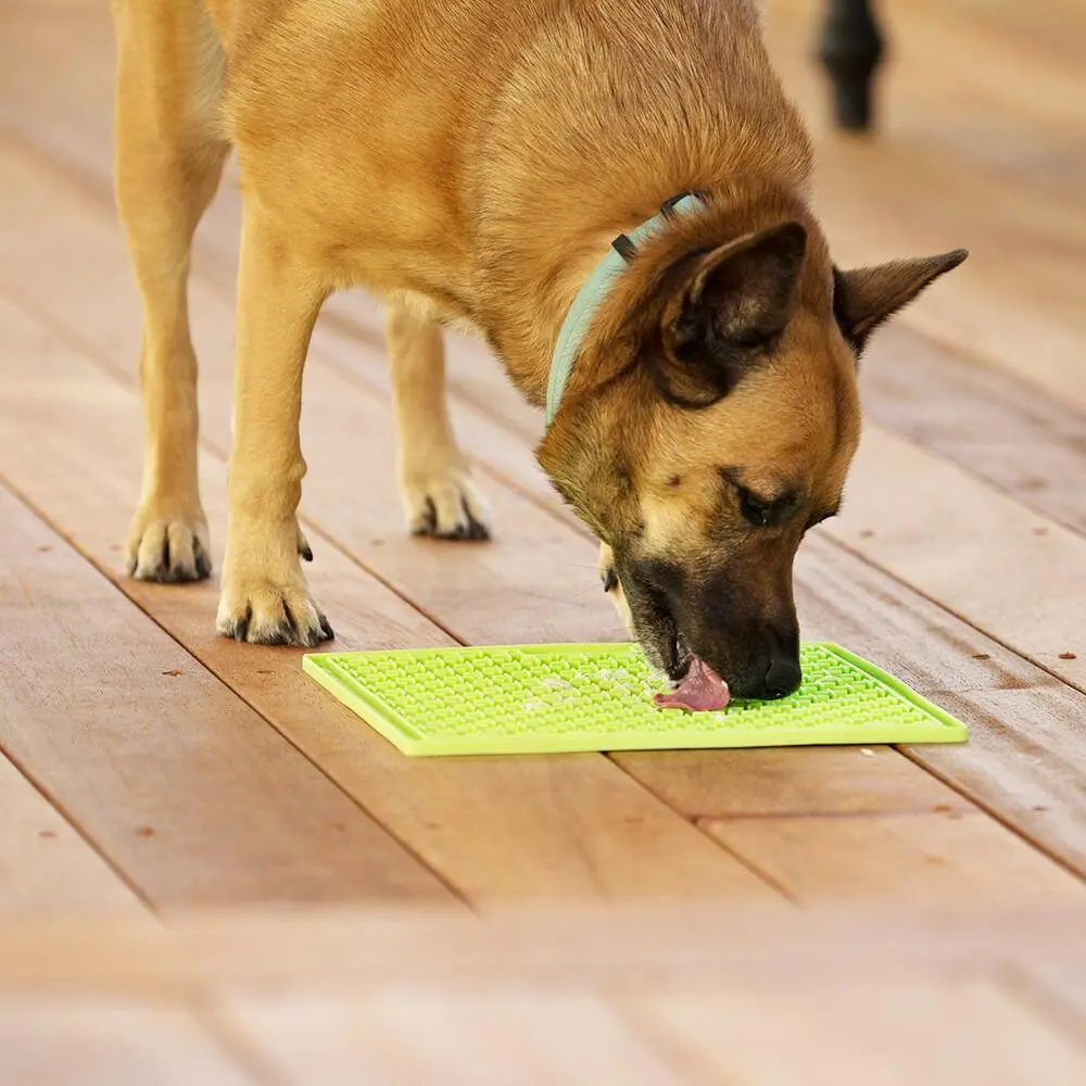 dog licking a mat